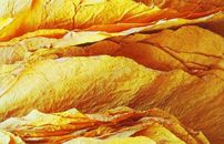 1win烟草行业解决方案V6-1win