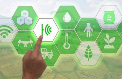 1win海岳智粮·粮企云产品解决方案